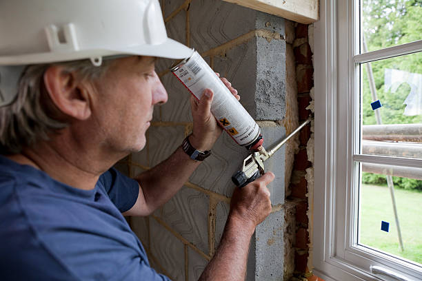 Best Attic Insulation Installation  in Ettrick, VA